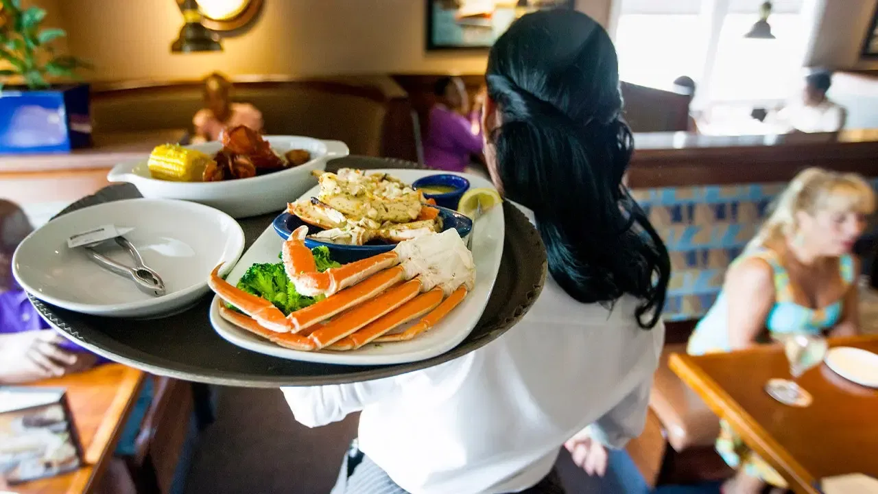 Red Lobster Bankruptcy Lessons: The Endless Shrimp Comeback