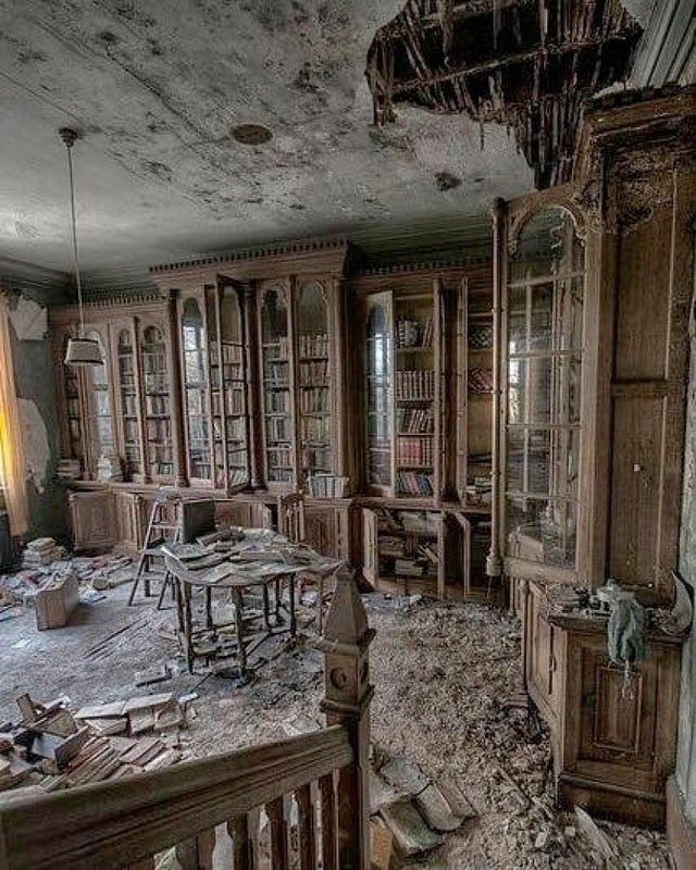19th century mansion library