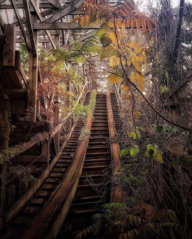 Abandoned Roller Coaster