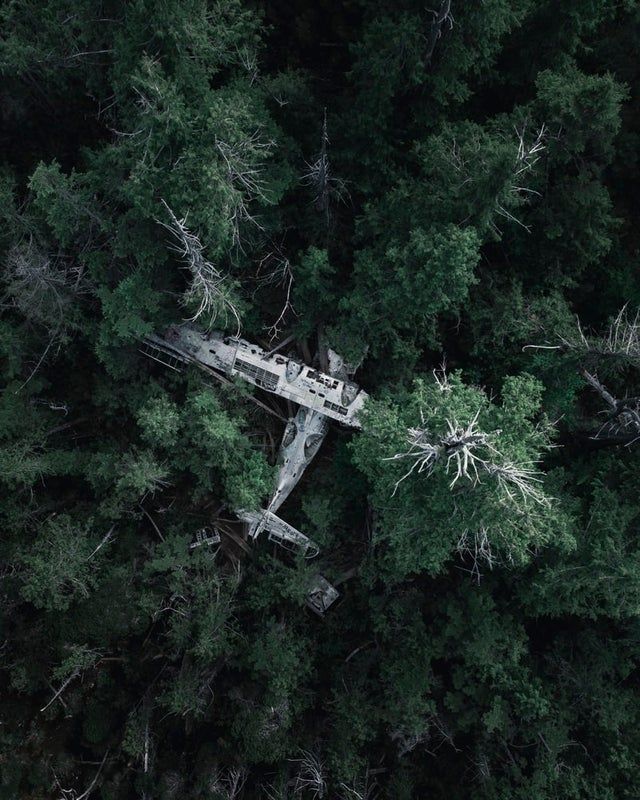 Abandoned airplane lost in the forest