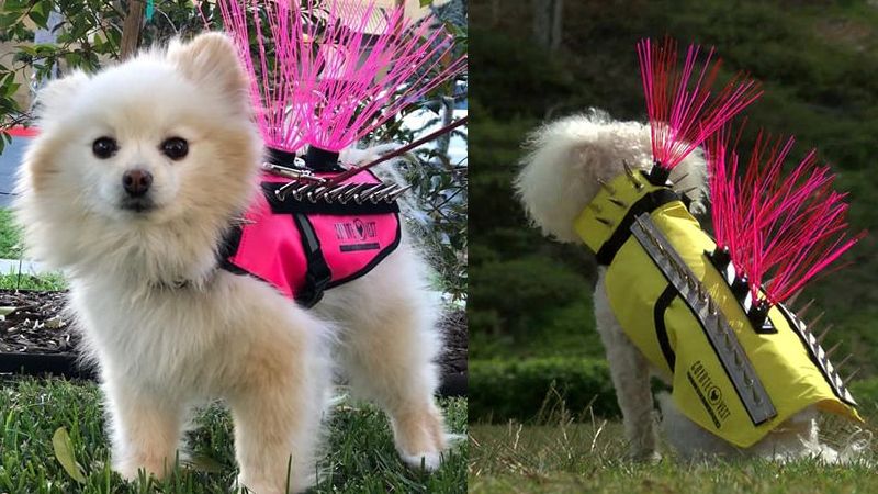 CoyoteWhiskers Dog Armor