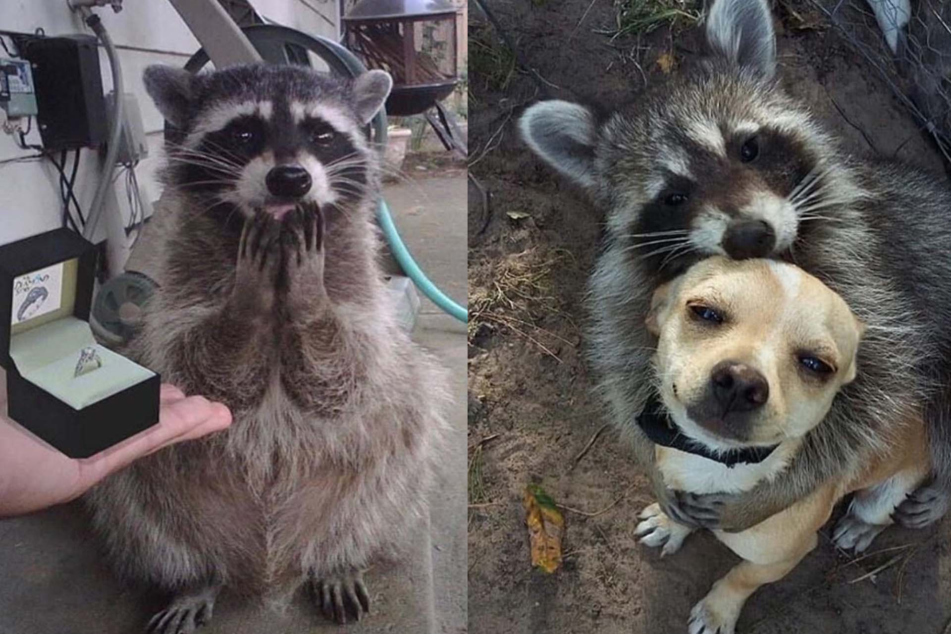 Cute Therapy, 23 Pictures That Will Turn Your Day Around