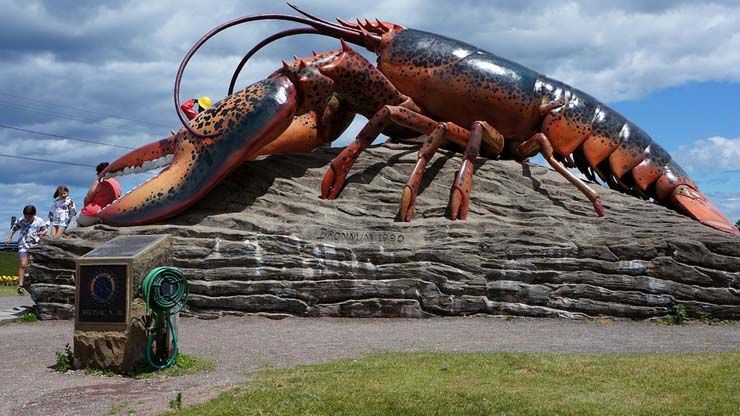Lobsters are arthropods with exoskeletons