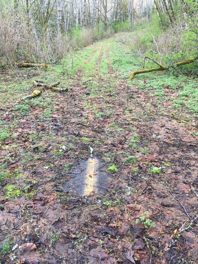 Lost road in WA