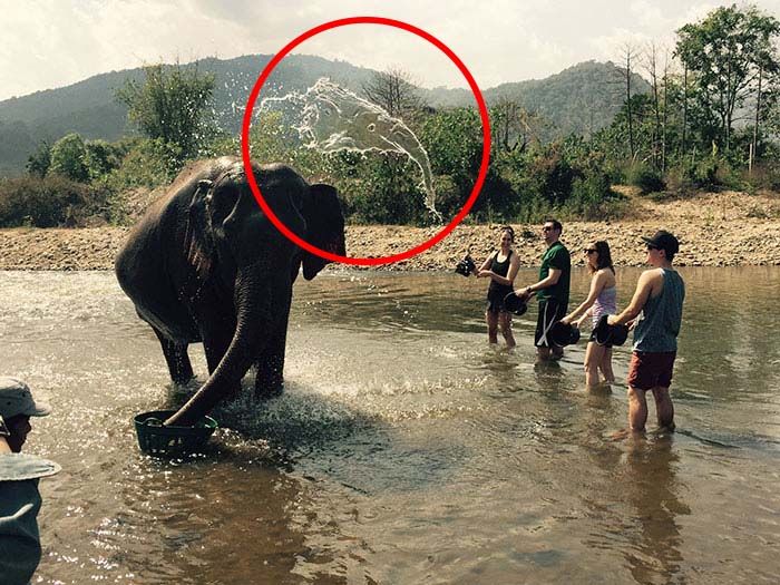 Skilled Photographers Capture Pictures That Will Twist Your Brain