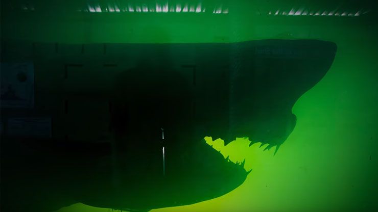 Right Out Of A Horror Movie 1