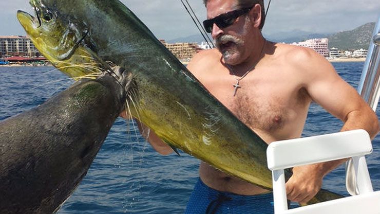 Sea Lions Exploit Sport Fishing Enthusiasts