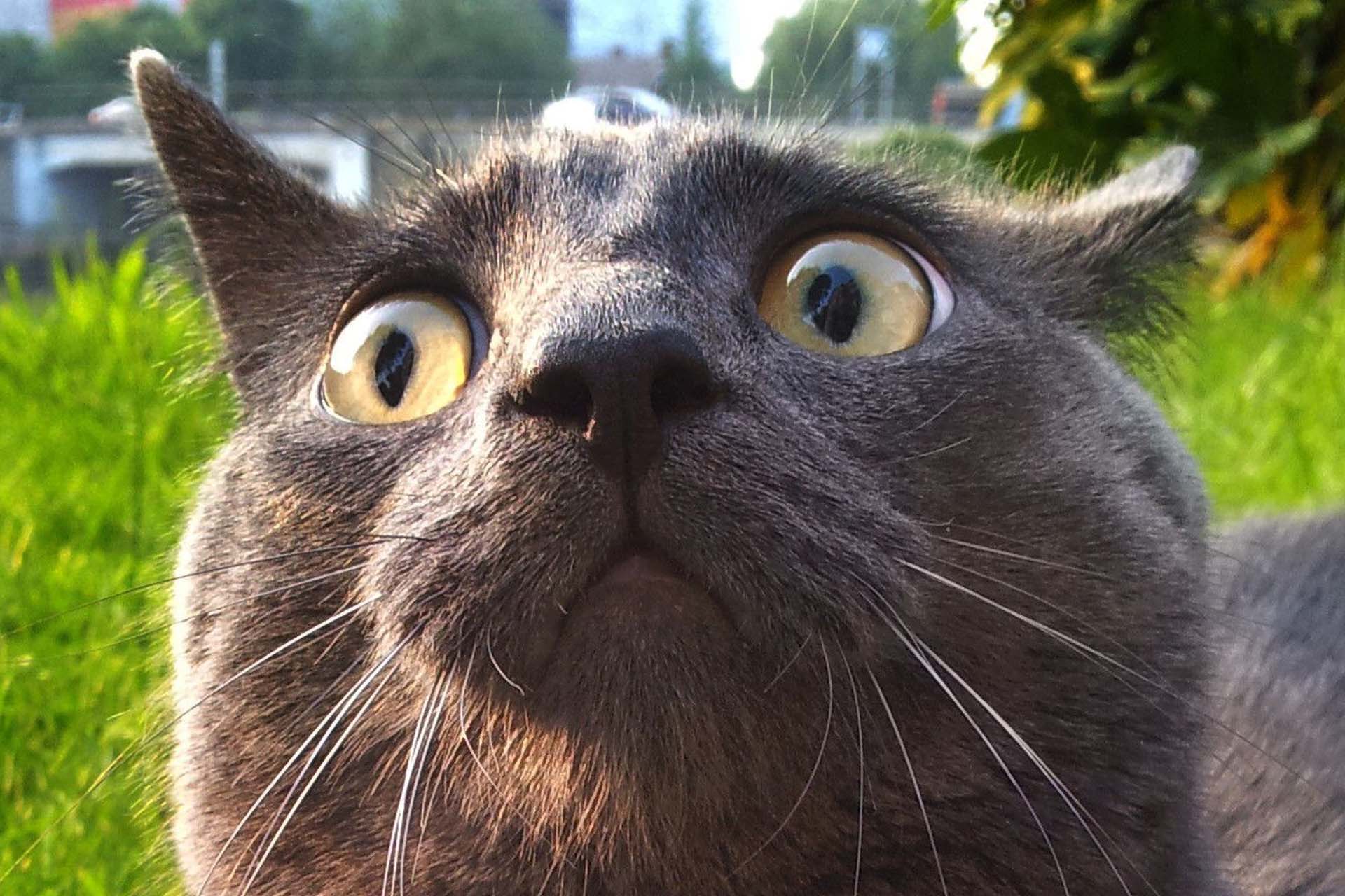 These CRAZY Facts Will Make You Say "I Had No Idea"