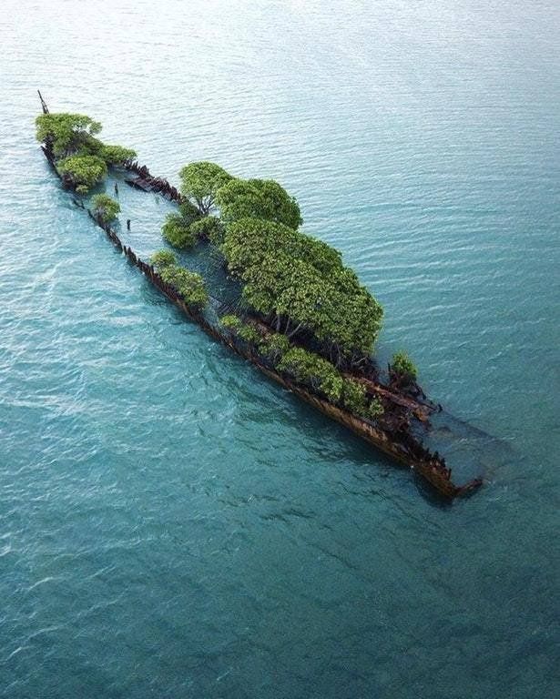 Wrecked SS City of Adelaide