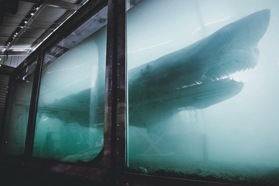 abandoned aquarium in Melbourne