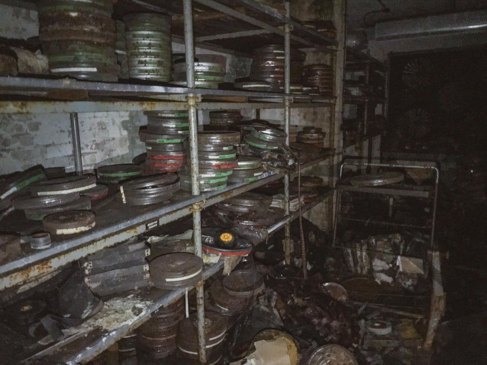 movie history rotting