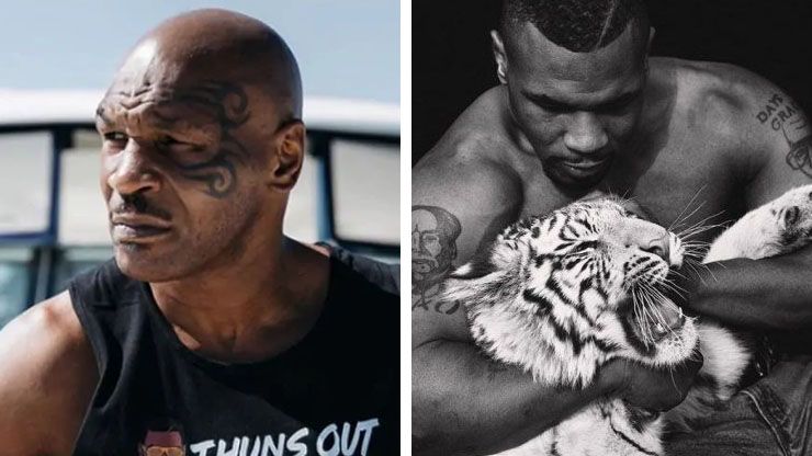 Mike Tyson s 70 000 Bengal Tigers3