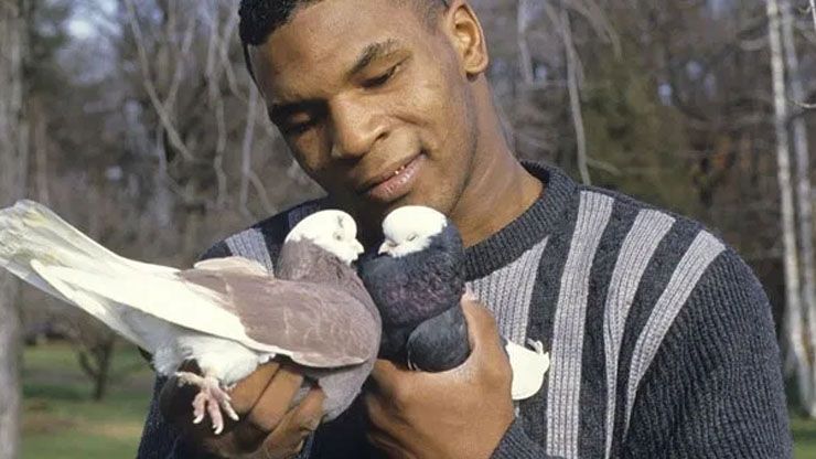 Mike Tyson s 70 000 Bengal Tigers7
