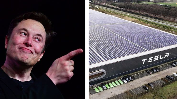 Elon Musk s Income