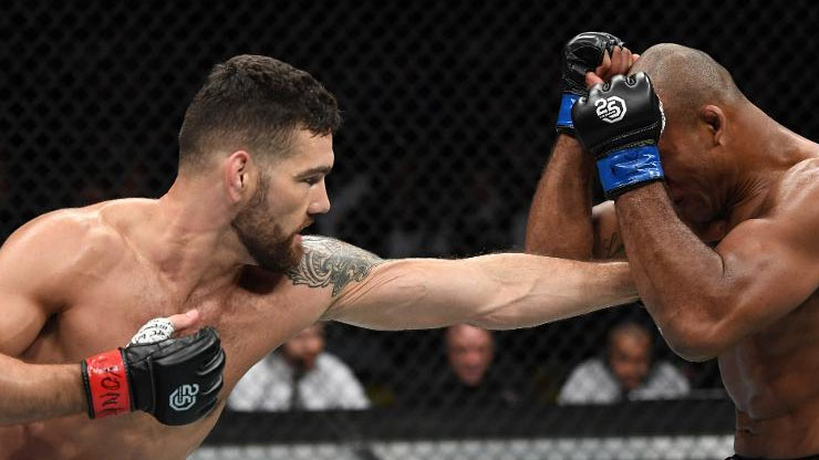 Chris Weidman s Record   Earnings Per Fight