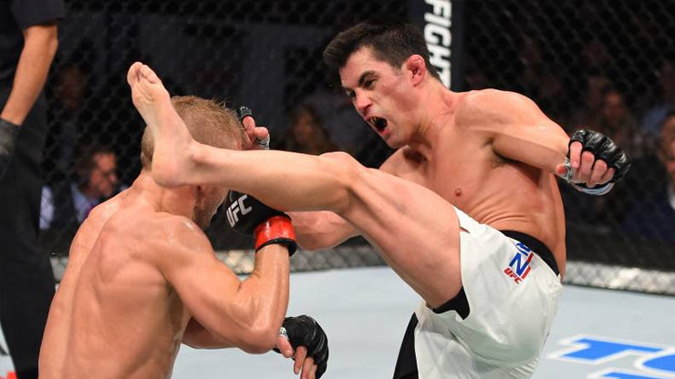 Dominick Cruz s Record Earnings Per Fight