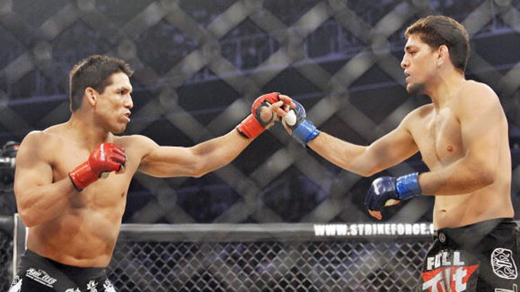 Frank Shamrock s Record Earnings Per Fight