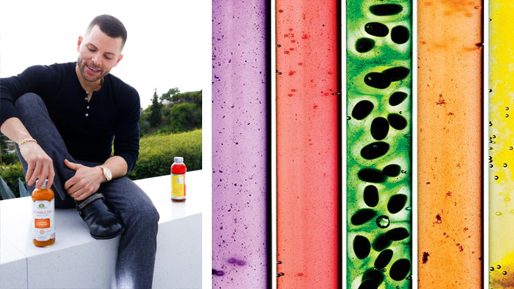 GT Dave What is Kombucha and why do so many People Drink it