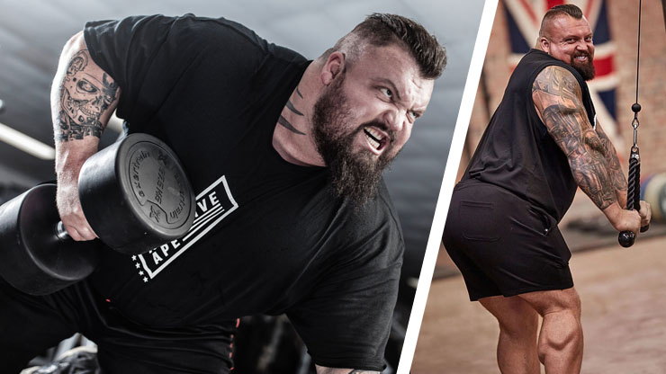 The Beast s Genetics