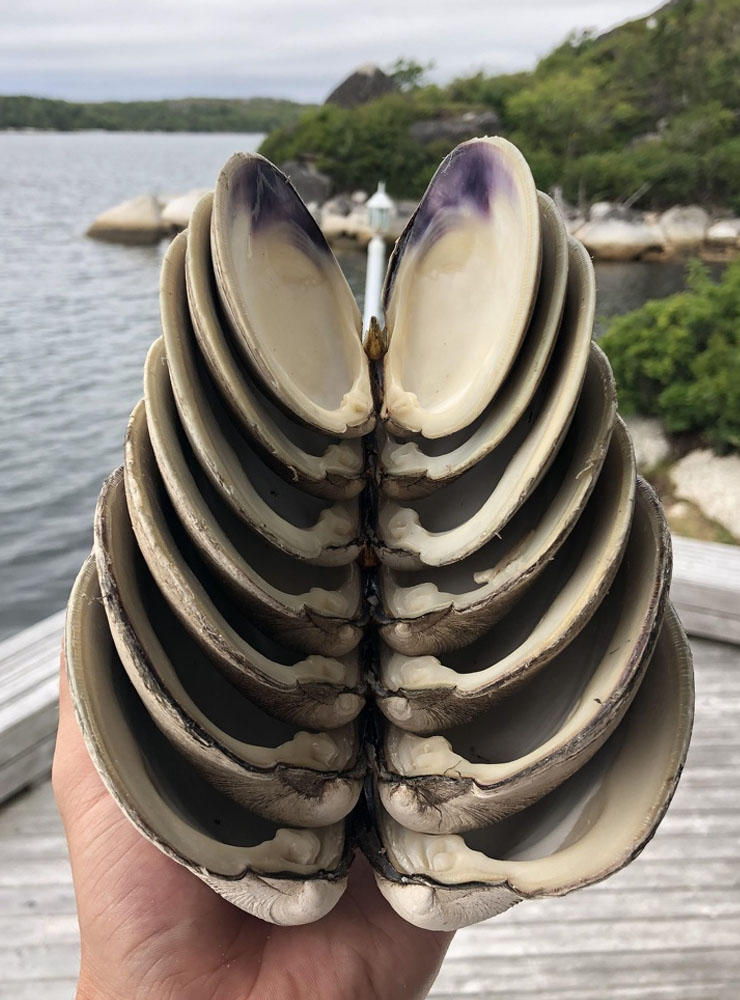 Oddly Satisfying 28