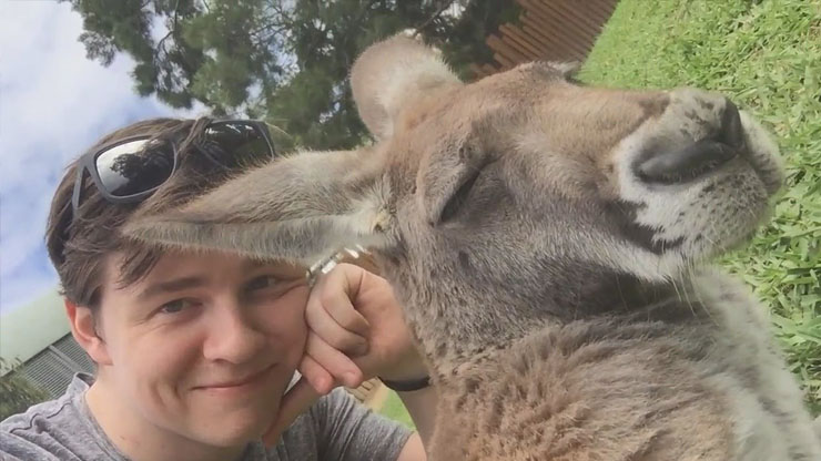 Muslek is Australian