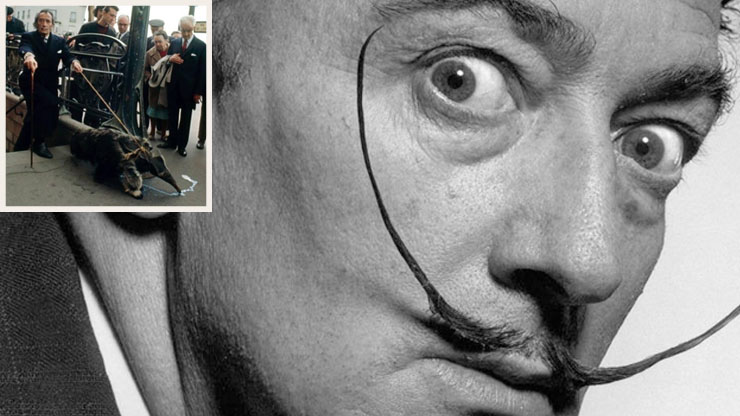 Salvador Dali And His Anteater