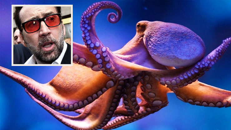 The Most Unusual Pets That Celebrities Have Owned