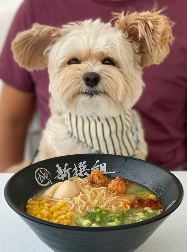 Popeye the Foodie Dog T