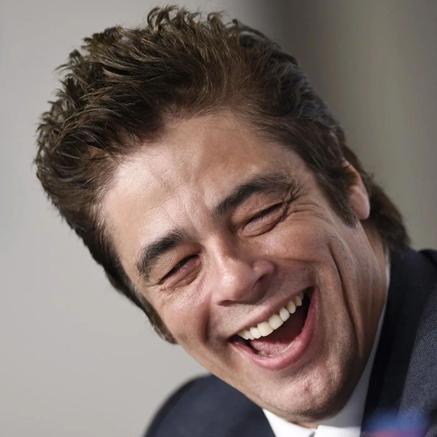 Benicio Del Toro Net Worth and Success