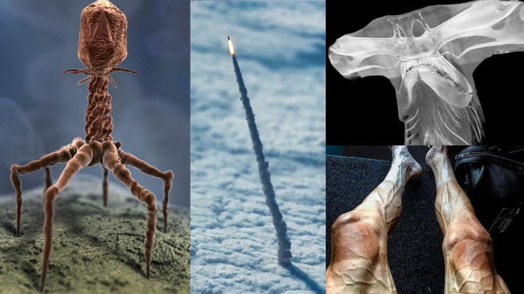Rare Pictures Show The World Is More Astounding Than We Thought