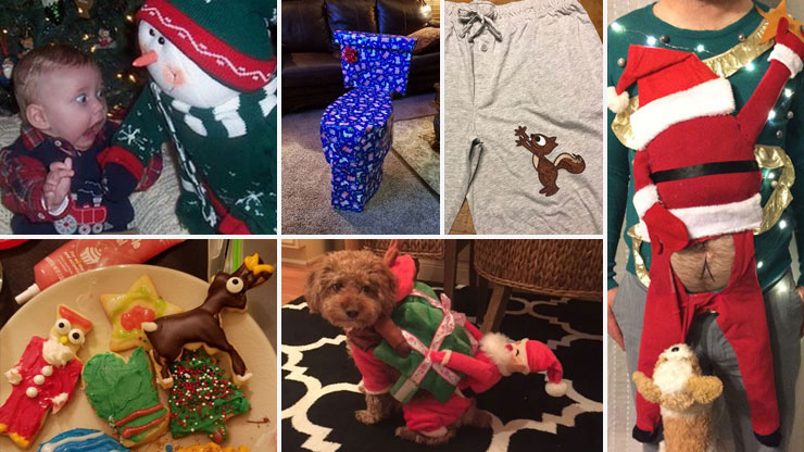 Hilarious Photos That'll Get You In The Holiday Spirit
