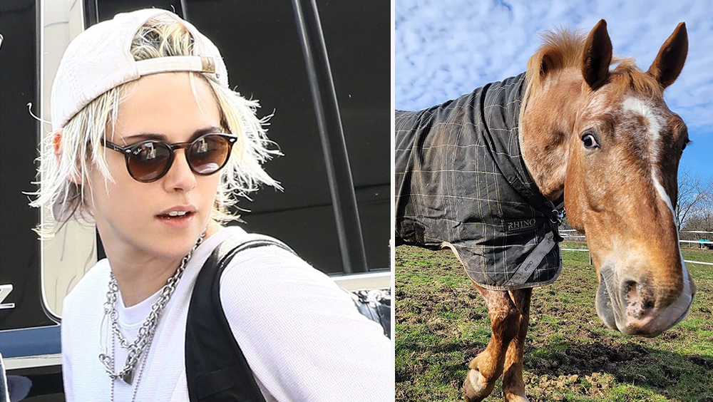 Celebrities Who Have Insane Fears 3