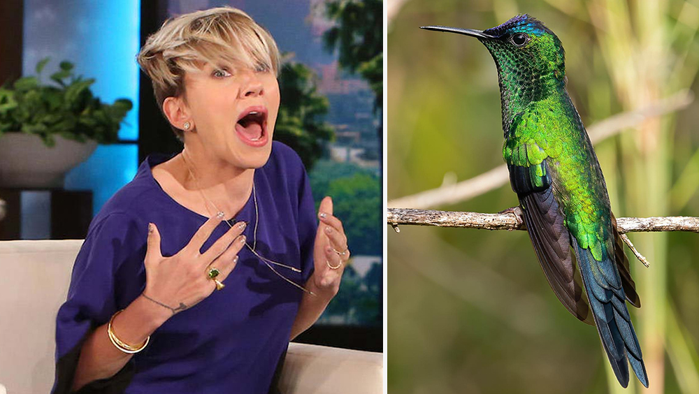 Celebrities Who Have Insane Fears 6