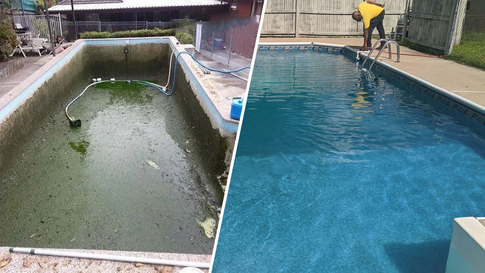 Clean Pool Condenser Gazillions
