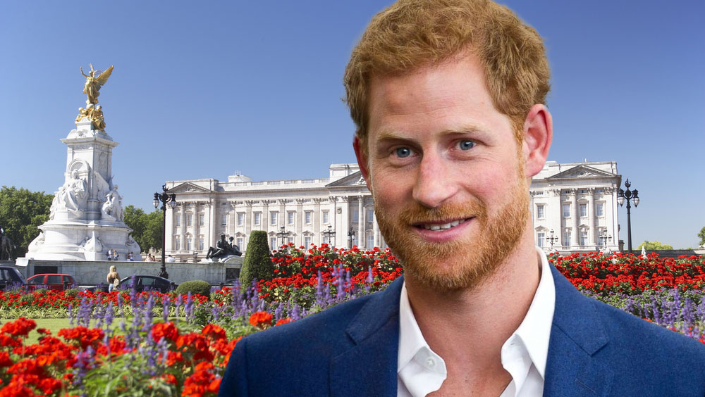 Prince Harry Net Worth