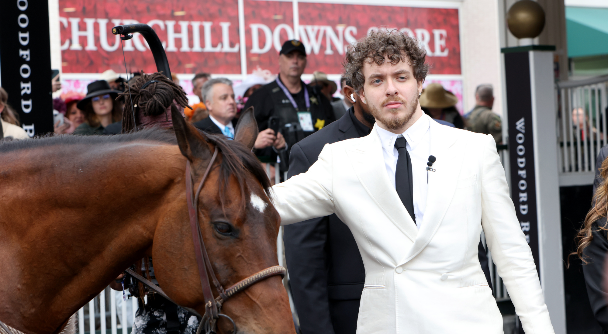 horse