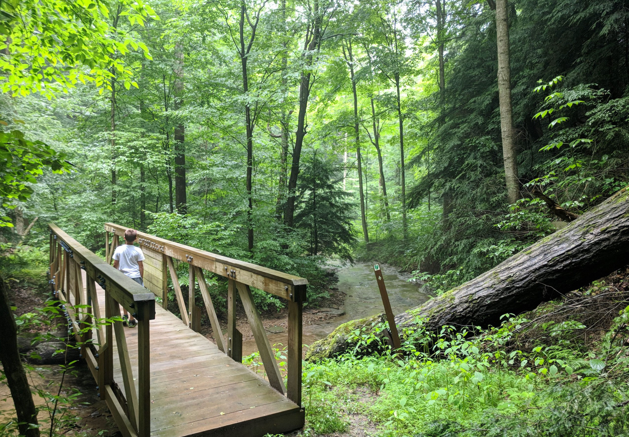 the best campgrounds in ohio_e2a0969a 0a65 4810 b26d 5f659210d446