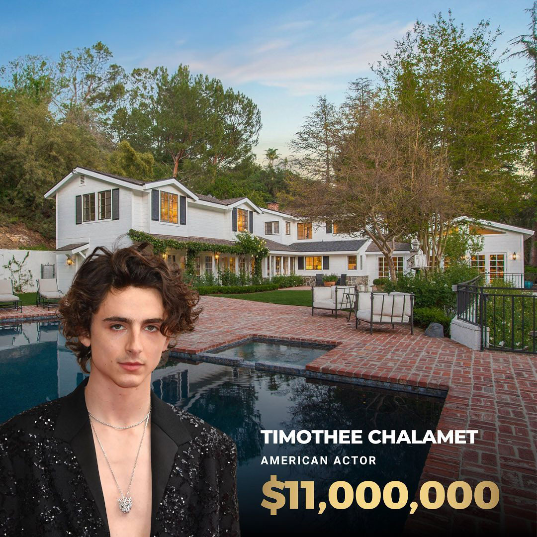timoth e chalamet s net worth_3b535d42 691c 46e5 a445 d39e9a5a0bba