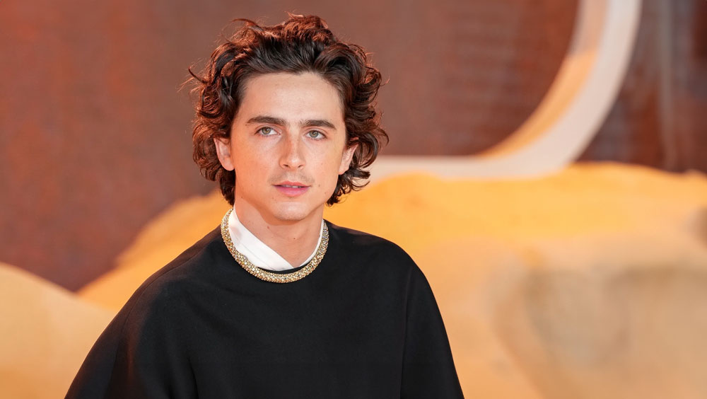 Timothée Chalamet's Net Worth
