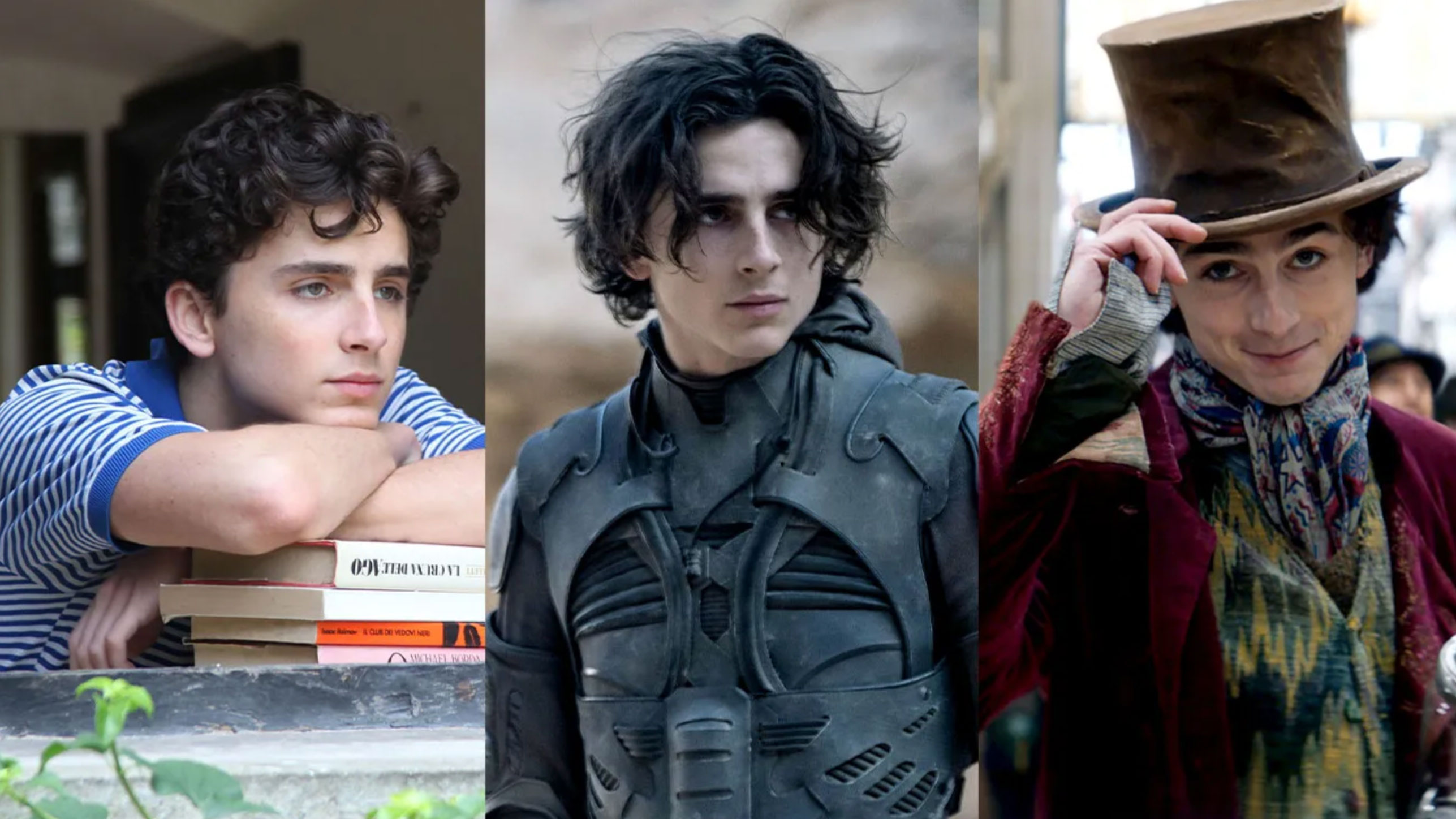 timoth e chalamet s net worth_d78e498a 19a0 45a6 803c 520fb8e6c96e