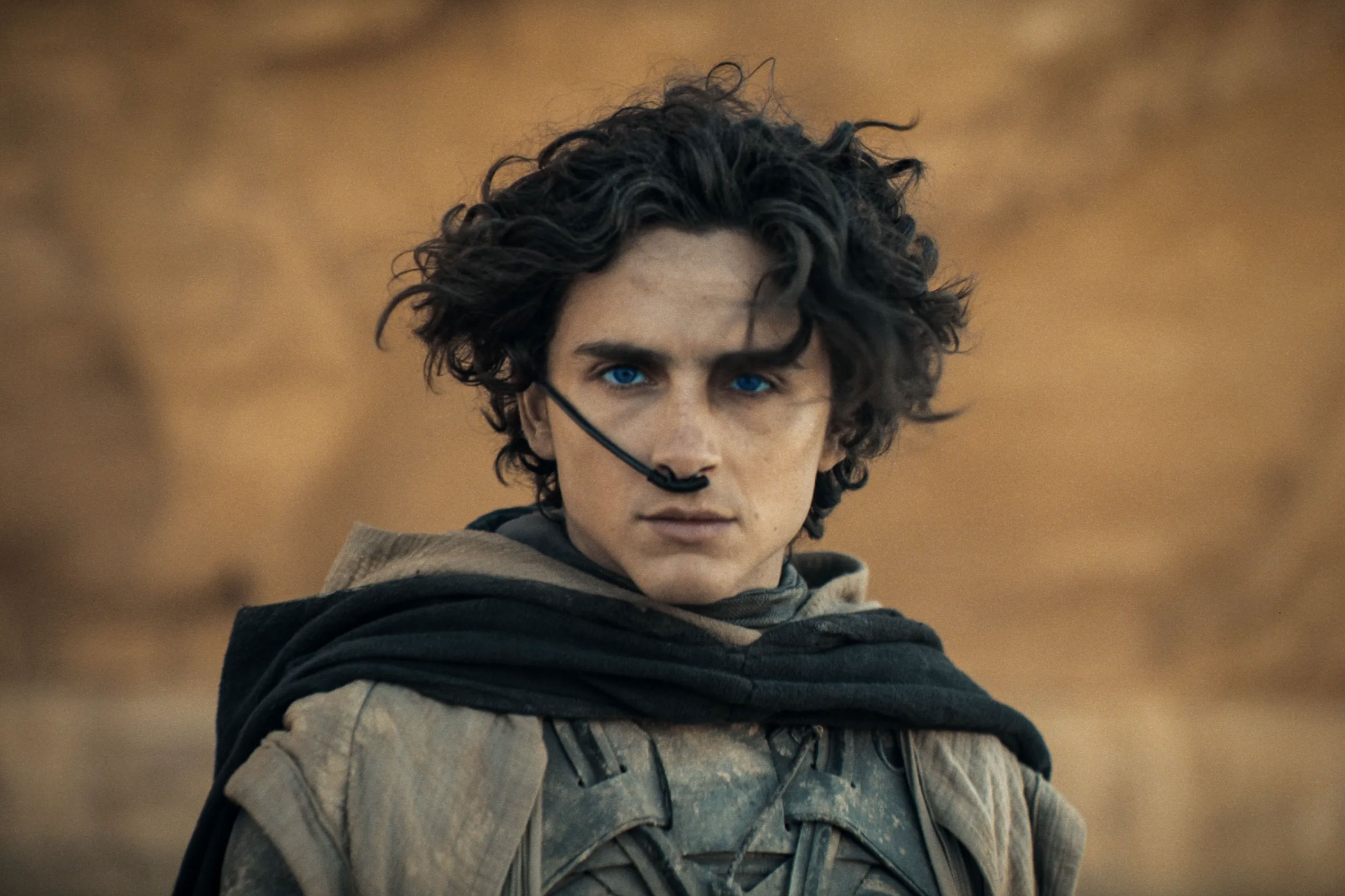 timoth e chalamet s net worth_f3df06ce 886a 4544 8528 206fb16081ee