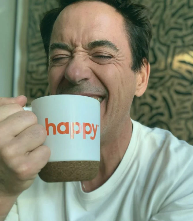 robert downey jr s net worth_c2f2a3d2 7f4b 418f 8564 d195587f98ac