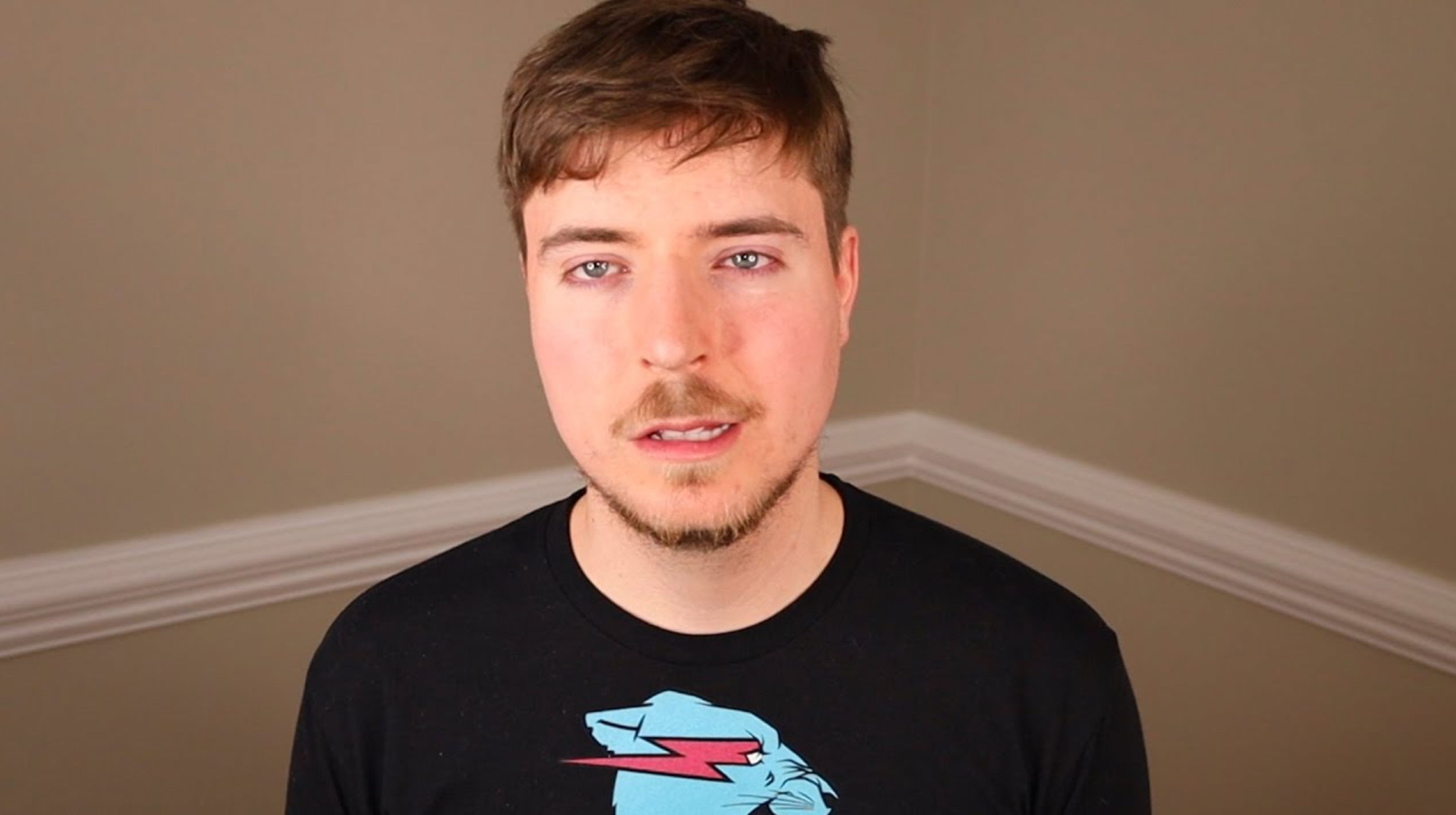 mrbeast net worth 2024_feacde10 ddc2 41c5 bf89 6621ed1bc8d3