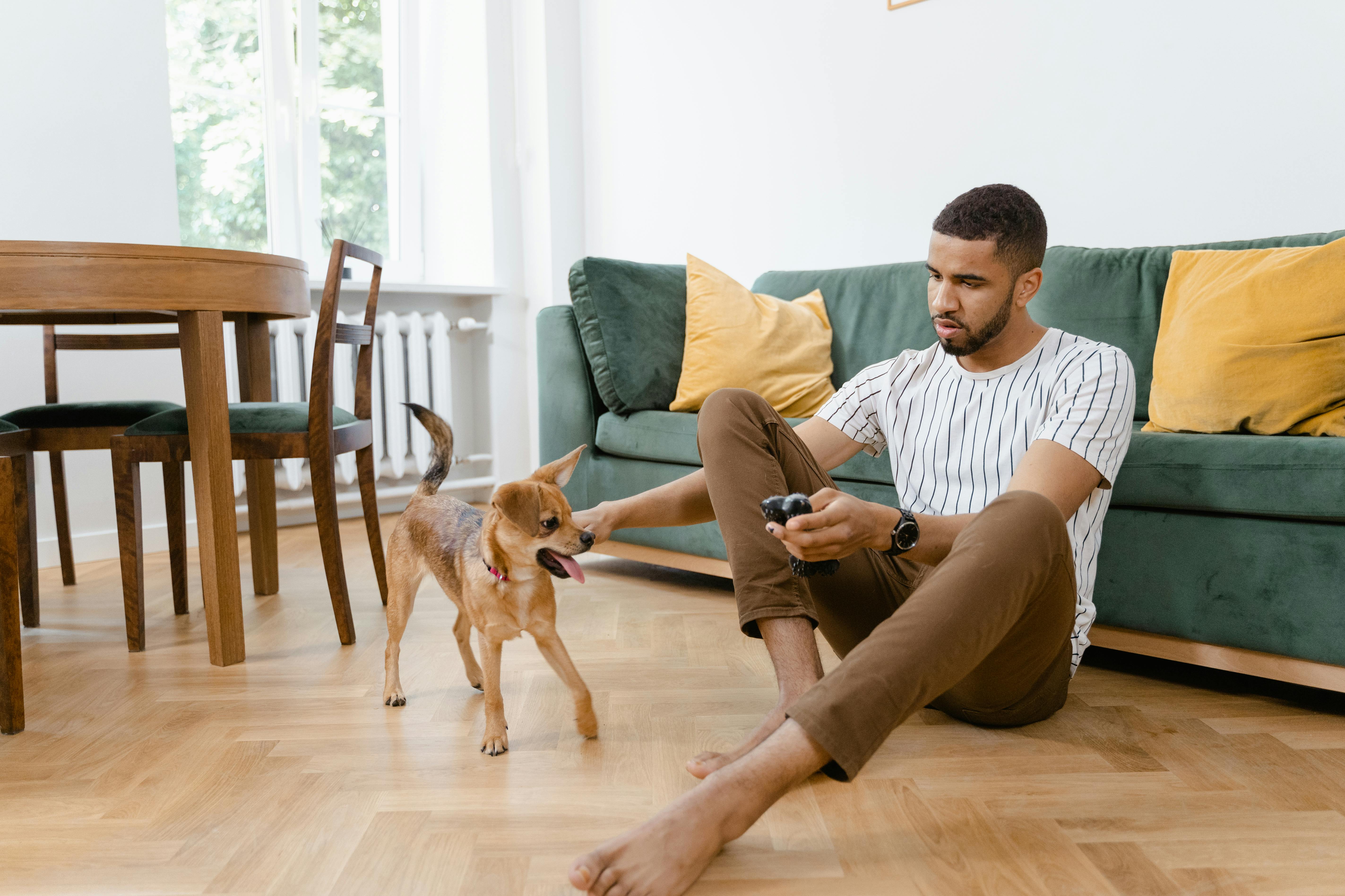 Top Pet Insurance Quotes for 2025: Affordable Coverage You Should Consider