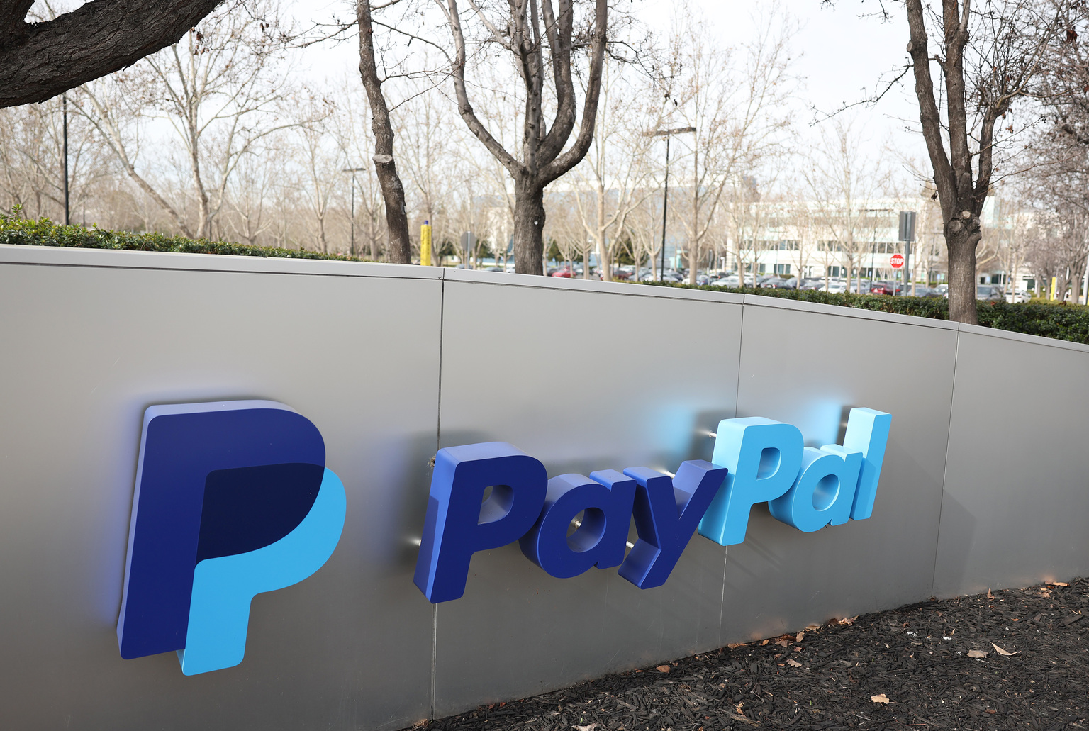PayPal Stock Plunges 20% as CEO Ousted: What Investors Need to Know