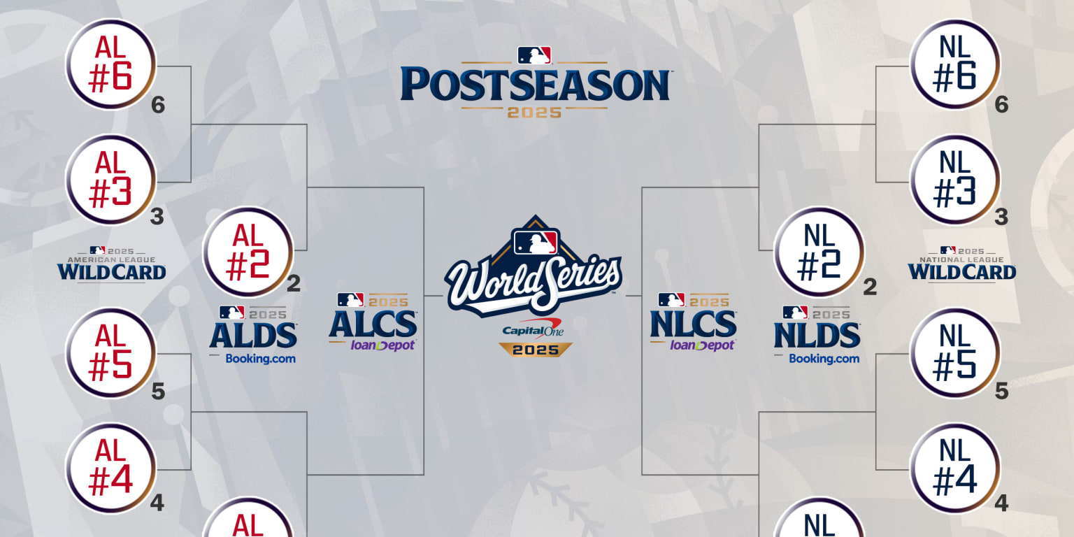 1774712107044_bag3en5lx7l39ujvqr5a