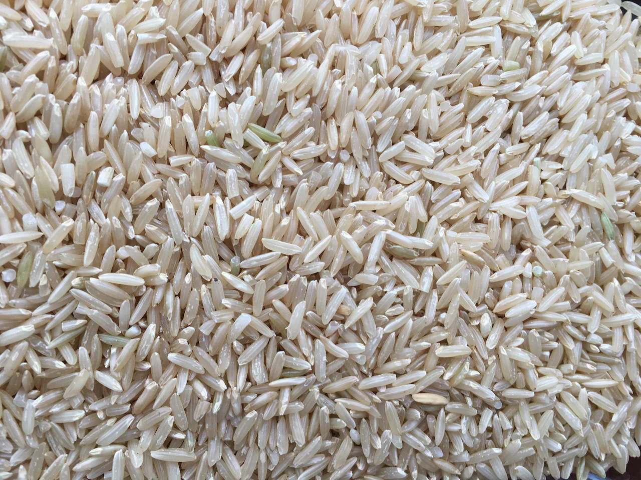 Wegmans Rice Recall: Investor Guide to Navigating Product Recall Risks