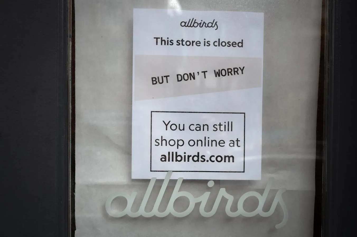 Allbirds Stock Soars 580% After AI Pivot: What Investors Need to Know